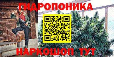 ПСИЛОЦИБИНОВЫЕ ГРИБЫ Обь