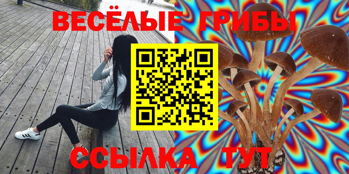 Галлюциногенные грибы мицелий Сибай