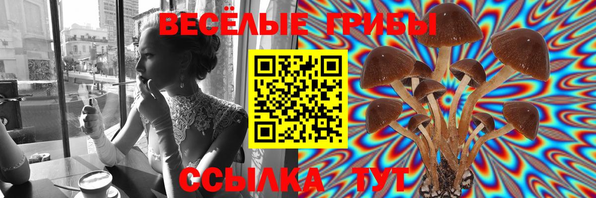 Сибай  Галлюциногенные грибы Psilocybe  где купить наркотик  Псилоцибиновые грибы Cubensis  Вход с VPN 